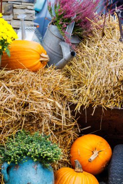 Hasat festivalindeki renkli sergilerden biri olan Goczalkowice, Polonya (Silezya).
