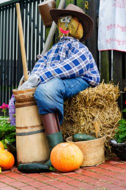 Hasat festivalinde dekoratif kukla, Silezya, Polonya.