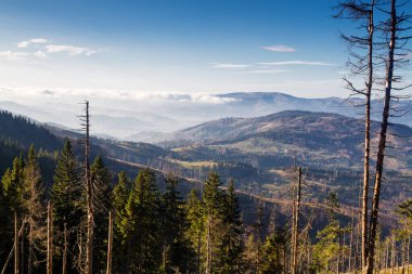 Beskid Zywiecki Dağları, Beskids Dağları, Polonya 'da sonbahar yürüyüşü sırasında güzel bir dağ manzarası.