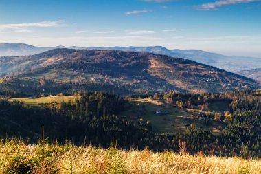 Beskid Zywiecki Dağları, Beskids Dağları, Polonya 'da sonbahar yürüyüşü sırasında güzel bir dağ manzarası.