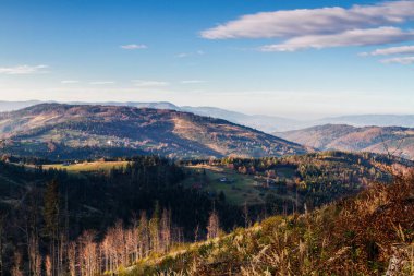 Beskid Zywiecki Dağları, Beskids Dağları, Polonya 'da sonbahar yürüyüşü sırasında güzel bir dağ manzarası.