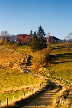 Beskid Zywiecki Dağları 'ndaki dağ kulübesi, Polonya