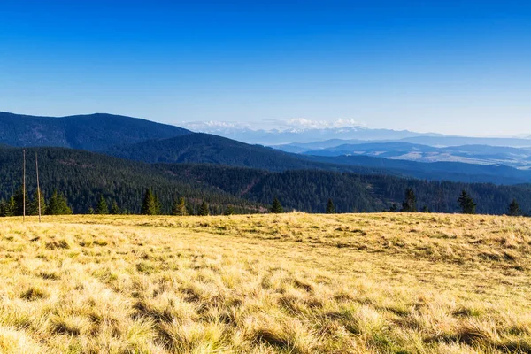 Schönes Bergpanorama Beim Herbstwandern Beskid Zywiecki Gebirge Beskiden Gebirge Polen — Stockfoto