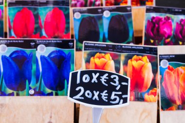 AMSTERDAM, NETHERLANDS - Kasım 08: Hollanda 'nın Amsterdam şehrinde 08 Kasım 2014 tarihinde şehir merkezi çiçek pazarındaki laleler ve diğer çiçekler.