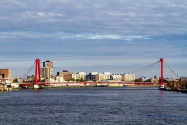 Arka planda binaları, gökdelenleri ve ofisleri olan Rotterdam şehri. Hollanda 'da.