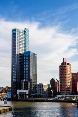 Arka planda binaları, gökdelenleri ve ofisleri olan Rotterdam şehri. Hollanda 'da.