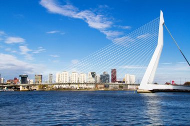 ROTTERDAM, NETHERLANDS - 10 Kasım 2014 tarihinde Erasmus Köprüsü Rotterdam, Hollanda.