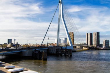 ROTTERDAM, NETHERLANDS - 10 Kasım 2014 tarihinde Erasmus Köprüsü Rotterdam, Hollanda.