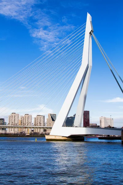 Rotterdam Hollandia November Erasmus Híd Hollandiai Rotterdamban 2014 November — Stock Fotó