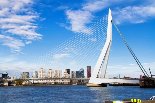 Rotterdam Nederland November Erasmusbrug November 2014 Rotterdam — Stockfoto