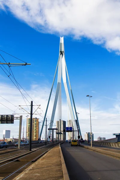 Rotterdam Paesi Bassi Novembre Ponte Erasmus Novembre 2014 Rotterdam Paesi — Foto Stock