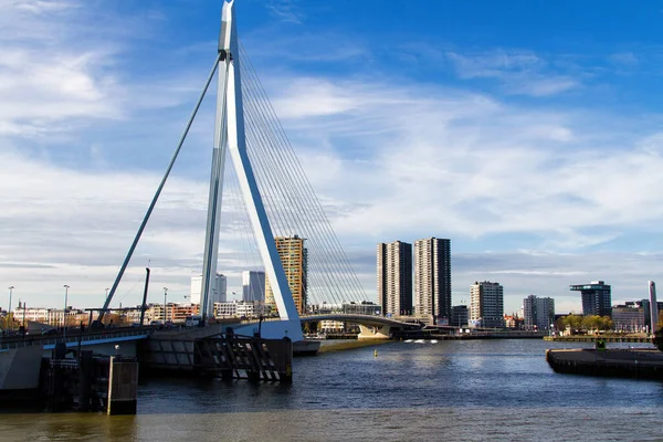 Rotterdam Pays Bas Novembre Pont Erasmus Novembre 2014 Rotterdam Pays — Photo
