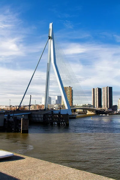 Rotterdam Netherlands November Erasmus Bridge November 2014 Rotterdam Netherlands — Stock Photo, Image