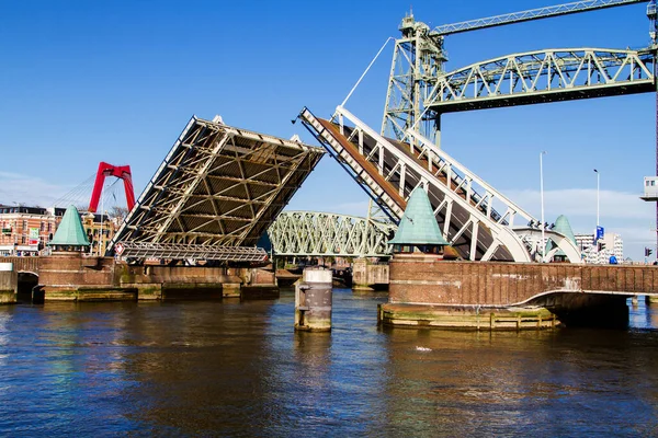 Draw Bridge Rotterdam Netherlands — Stock Photo, Image