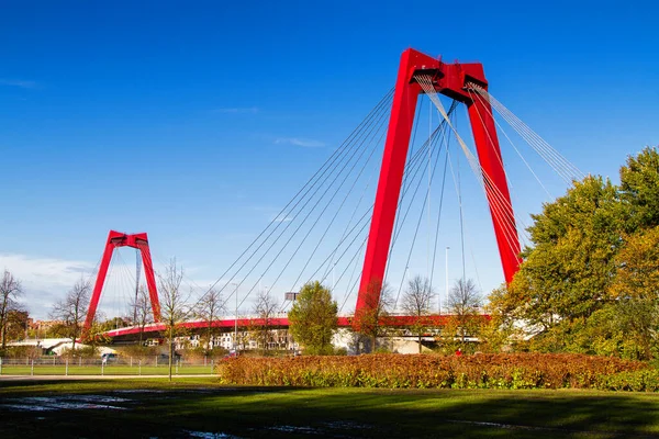 Most Willemsbrug Rotterdamu Nizozemsko — Stock fotografie