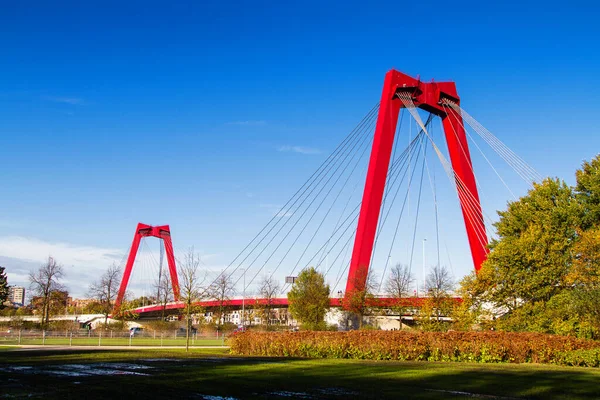 Hollanda Rotterdam Daki Willemsbrug Köprüsü — Stok fotoğraf
