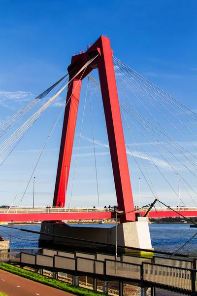 Ponte Willemsbrug Rotterdam Paesi Bassi — Foto Stock