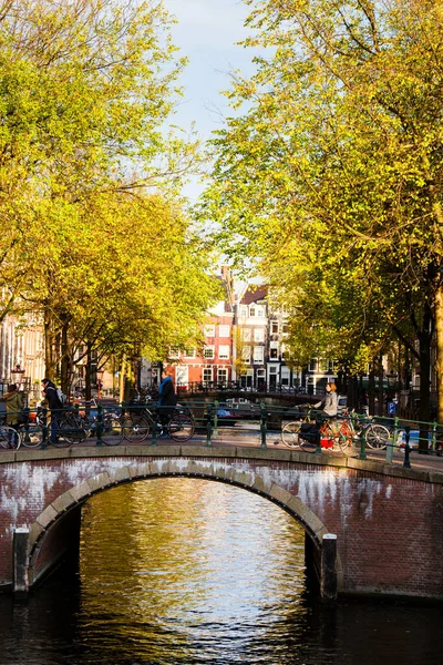 Amsterdam Nederland November Mooie Huizen Herfstbladeren Aan Een Gracht Amsterdam — Stockfoto