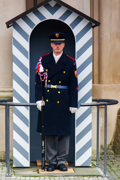 Praga Republica Czech Novembrie 2014 Garda Gărzilor Onoare Palatul Prezidențial — Fotografie, imagine de stoc