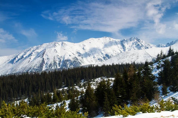 Vallée Gasienicowa Parc National Des Monts Tatra Pologne — Photo