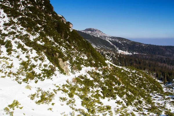 Gasienicowa Vadisi Tatra Dağları Ulusal Parkı Polonya — Stok fotoğraf