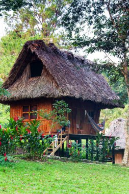 Lanquin 'deki tipik orman köşkü popüler Semuc Champey, Guatemala, Orta Amerika yakınlarında.