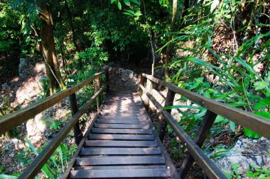 Semuc Champey, Guatemala, Orta Amerika
