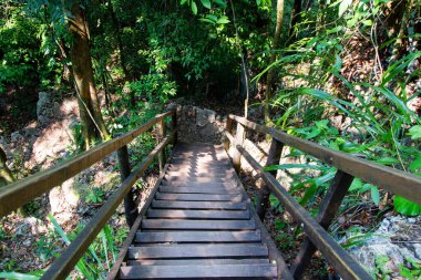 Semuc Champey, Guatemala, Orta Amerika