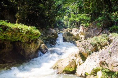 Semuc Champey, Lanquin, Guatemala, Orta Amerika