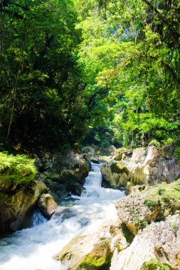 Semuc Champey, Lanquin, Guatemala, Orta Amerika