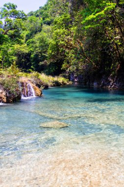 Semuc Champey, Lanquin, Guatemala, Orta Amerika