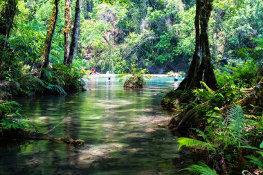 Semuc Champey, Lanquin, Guatemala, Orta Amerika
