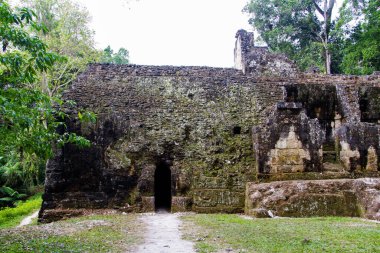 Tikal, Peten bölgesi, Guatemala, Orta Amerika 'daki Maya piramitleri