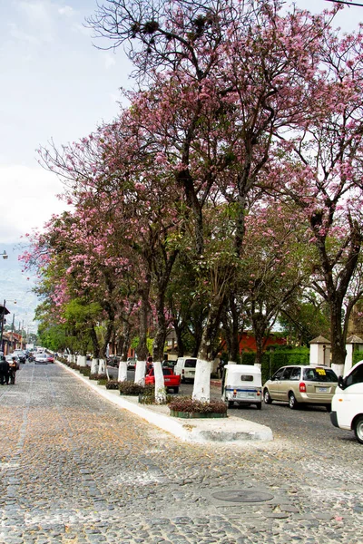 Antigua Guatemala Közép Amerika — Stock Fotó