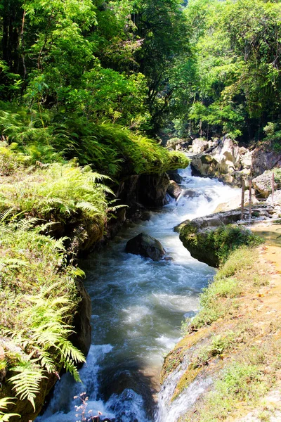 Semuc Champey Lanquin Guatemala Mittelamerika — Stockfoto