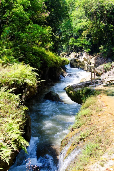 Semuc Champey Lanquin Guatemala Střední Amerika — Stock fotografie