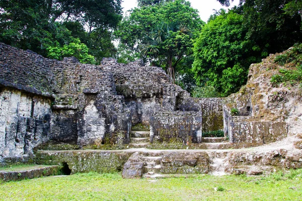 Maja Piramisok Tikalban Peten Régióban Guatemalában Közép Amerikában — Stock Fotó