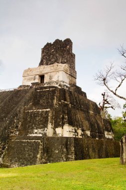 Tikal, Peten bölgesi, Guatemala, Orta Amerika 'daki Maya piramitleri