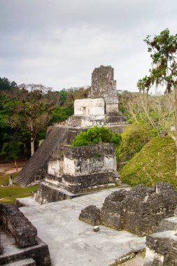 Tikal, Peten bölgesi, Guatemala, Orta Amerika 'daki Maya piramitleri