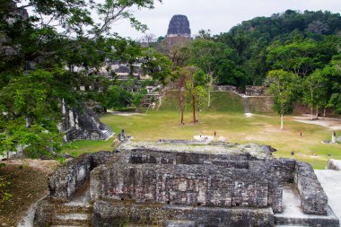 Tikal, Peten bölgesi, Guatemala, Orta Amerika 'daki Maya piramitleri