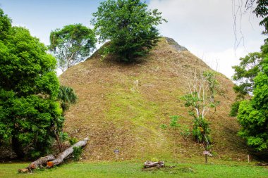 Tikal, Peten bölgesi, Guatemala, Orta Amerika 'daki Maya piramitleri