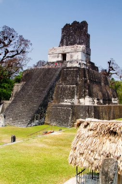 Tikal, Peten bölgesi, Guatemala, Orta Amerika 'daki Maya piramitleri