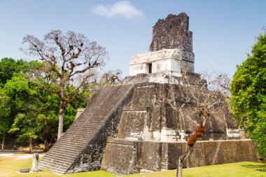 Tikal, Peten bölgesi, Guatemala, Orta Amerika 'daki Maya piramitleri