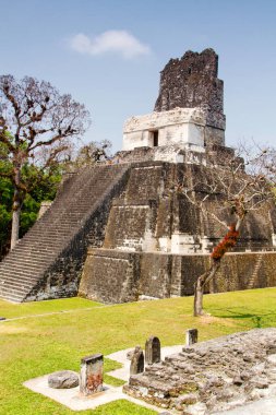 Tikal, Peten bölgesi, Guatemala, Orta Amerika 'daki Maya piramitleri