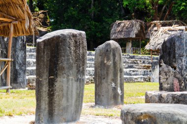 Tikal, Peten bölgesi, Guatemala, Orta Amerika 'daki Maya piramitleri