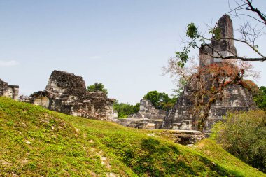 Tikal, Peten bölgesi, Guatemala, Orta Amerika 'daki Maya piramitleri