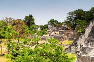 Tikal, Peten bölgesi, Guatemala, Orta Amerika 'daki Maya piramitleri