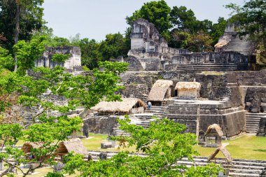 Tikal, Peten bölgesi, Guatemala, Orta Amerika 'daki Maya piramitleri
