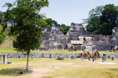 Tikal, Peten bölgesi, Guatemala, Orta Amerika 'daki Maya piramitleri