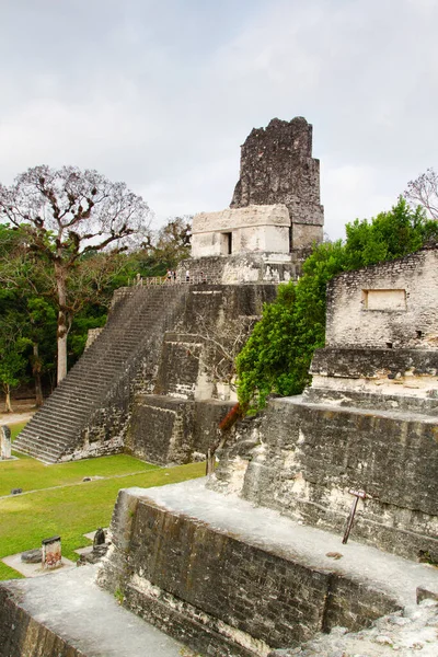 Tikal Peten Bölgesi Guatemala Orta Amerika Daki Maya Piramitleri — Stok fotoğraf